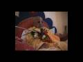 videos de Srila BV Puri Maharaja Ramayana Pula 2004 part1