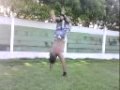 2010-05-21 | erlan treinando capoeira sendero ~> ()