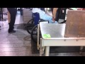 TSA gropes woman in a wheelchair - YouTube