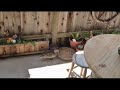 THE DUCK FIGHT
