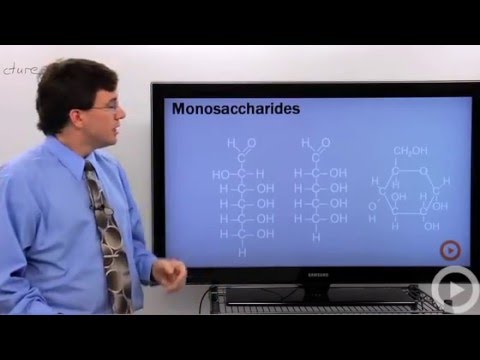 carbohydrates - Science Help at Brightstorm! http://brightstorm.com/science An introduction to chemistry carbohydrates.