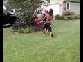Boxing -samim vs white boy shelby