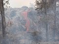 Royal Gardens Lava Flow June 15, 2009