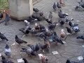 Nokia N78 video sample3