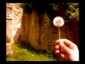 TERNI_