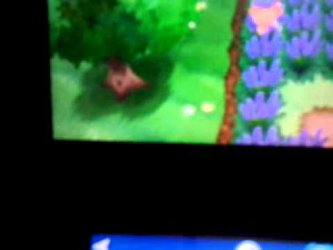 how to cure pokerus in pokemon y