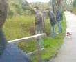 pissen