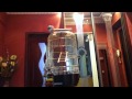 IMG 0081
