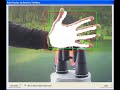 Palm Detection and Recognition