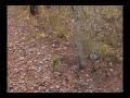 Okefenokee - Part 2