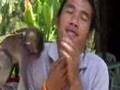 Thailand - 23 - Tony Carlos Kelly - Phukets Hotels & Monkey