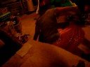 Staz warz PART 1 8D