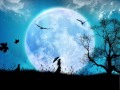 Musique Thérapeutique Pour Dormir 1 - [1/8]