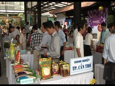Kết nối cung cầu hàng hóa tạo ra nguồn hàng tiêu dùng và xuất khẩu 
