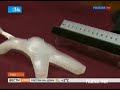 Видеоновость Гарвард. Создан первый в мире беспозвоночный робот