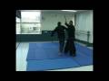 master david haliva part 2