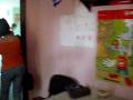 videos de Belek Beach Resort Kids Club 12 Fly Fun Club Familien Hotel Strand Meer