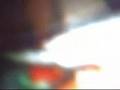 videos de MY FRIENDS!! in Reyvolution