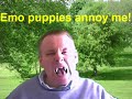 Re: Emo Puppy Love (LisaNova & RetardedMango)