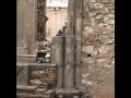 Porno palomo