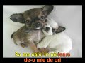KARAOKE