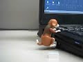 Crazy Usb Dog