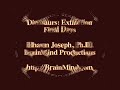 dinosaurs extinction: final days  a reptilian holocaust 