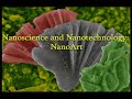 NANOART 3