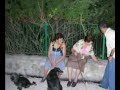 las gorgollitas 2