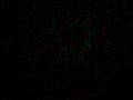 videos de Baeli Yacking