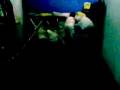 videos de Zaimwok2.3gp