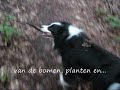 Fijnedag Fijnedag
