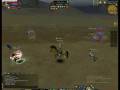 videos de Silkroad Babel PVP