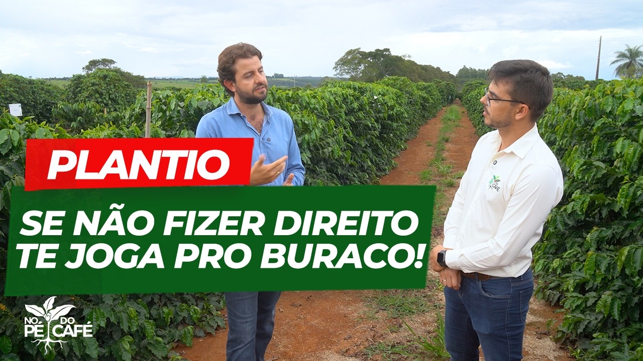 O PLANTIO destrinchado para VOCÊ não ERRAR! DETALHES que muitas vezes, PASSAM DESPERCEBIDOS!!
