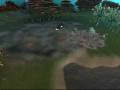 Weird Spore Glitch