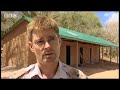 A rabies outbreak in Ithumba elephant reserve could spell disaster - BBC wildlife A rabies outbreak in Ithumba elephant reserve could spell disaster - BBC wildlife