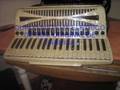 ACORDEON PHILARMONIC PEROLIZADA