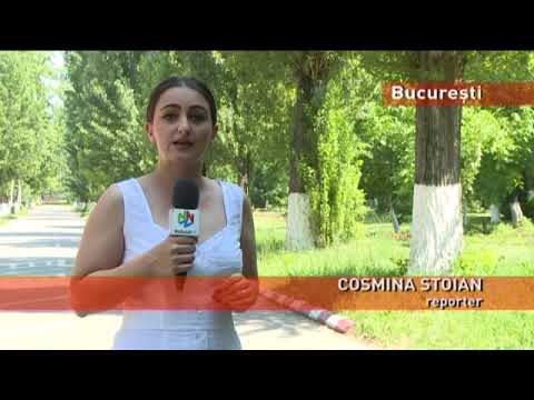 Acțiune de combatere a țânțarilor din București, de săptămâna viitoare