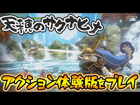 動画