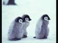 Childlike Wildlife - Jason Mraz