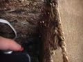 Click here to watch this video Rocketfish Wireless Surround System