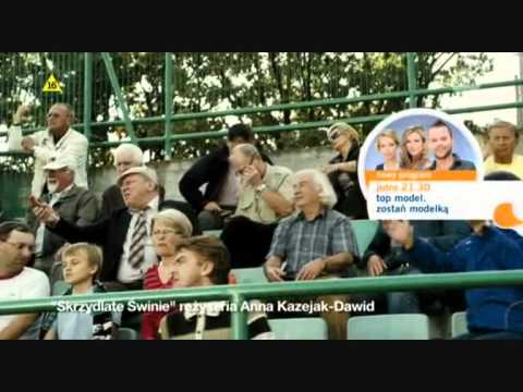 Skrzydlate świnie - pikniki