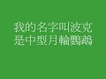 金馬獎很俏皮的影片-美圓的"寵物鸚鵡"