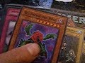 COnoRS SwApS