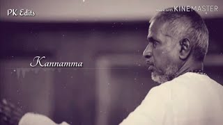 Kannamma kadhal enum - Vanna Vanna pookal  Ilaiyar