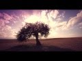 Lylloo & Matt Houston Tu Y Yo Video and Lyrics