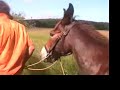 le pays de jos� \"larzac\"