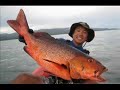 Kayak Fishing in Ponape,FSM ??????????????????????????????????????? Kayak Fishing in Ponape,FSM ???????????????????????????????????????