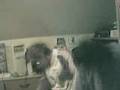 Ort & Dela - Chop Suey (System of a Down)