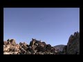 Desert Birds